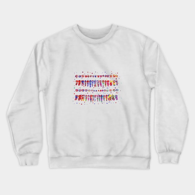 Human teeth diagram Crewneck Sweatshirt by RosaliArt